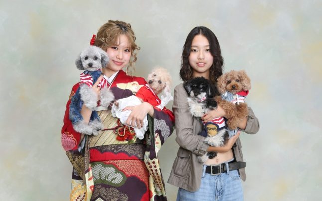 成人式前撮り×ワンちゃんと一緒に前撮り撮影のお客様ご紹介♪ティーカッププードル４匹のワンちゃんとの楽しい撮影でした♡